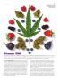 Page: - 89 | High Times