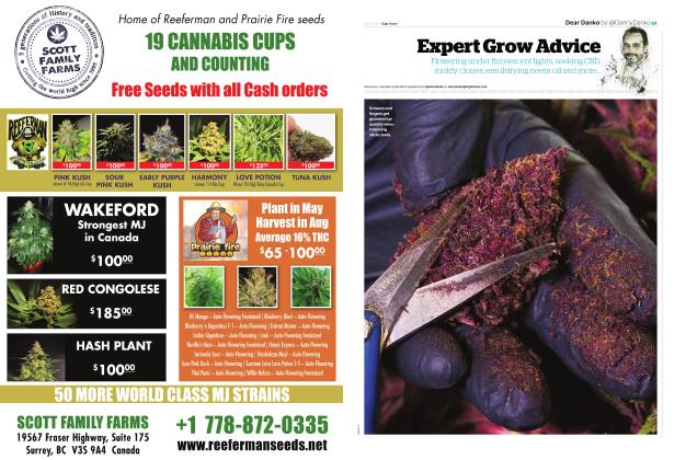 Expert Grow Advice