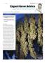 Page: - 107 | High Times