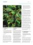 Page: - 108 | High Times