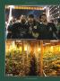 Page: - 126 | High Times