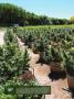 Page: - 18 | High Times