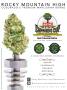 Page: - 41 | High Times