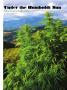 Page: - 57 | High Times