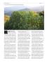 Page: - 58 | High Times