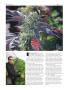 Page: - 60 | High Times