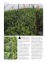 Page: - 62 | High Times