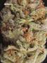 Page: - 78 | High Times