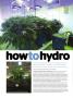 Page: - 90 | High Times