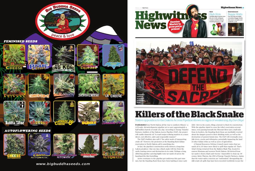 Killers of the Black Snake