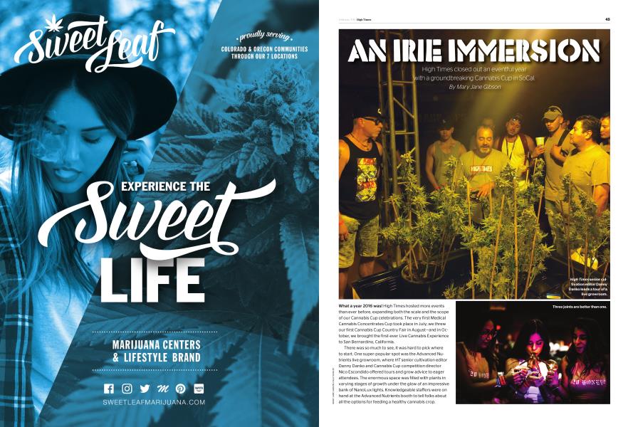 AN IRIE IMMERSION