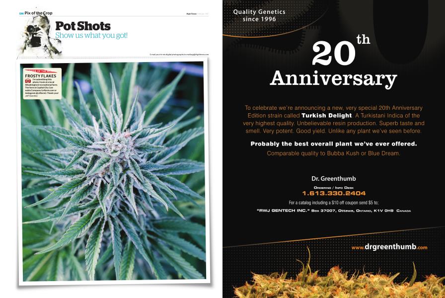 Pot Shots High Times February 2017