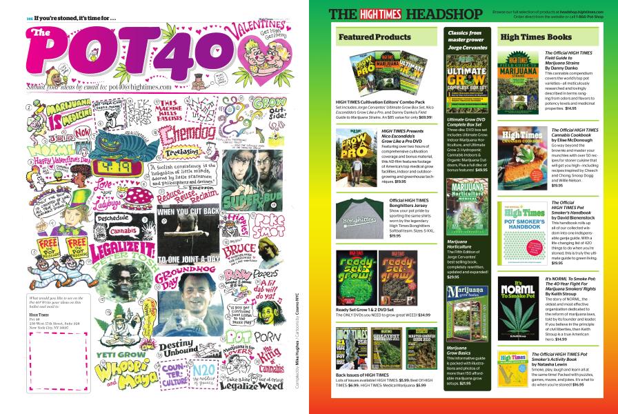 The POT 40