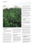 Page: - 110 | High Times