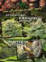 Page: - 2 | High Times