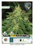 Page: - 45 | High Times
