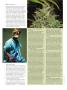 Page: - 98 | High Times