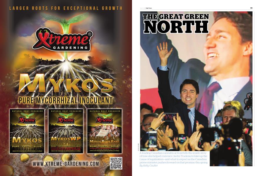 THE GREAT GREEN NORTH