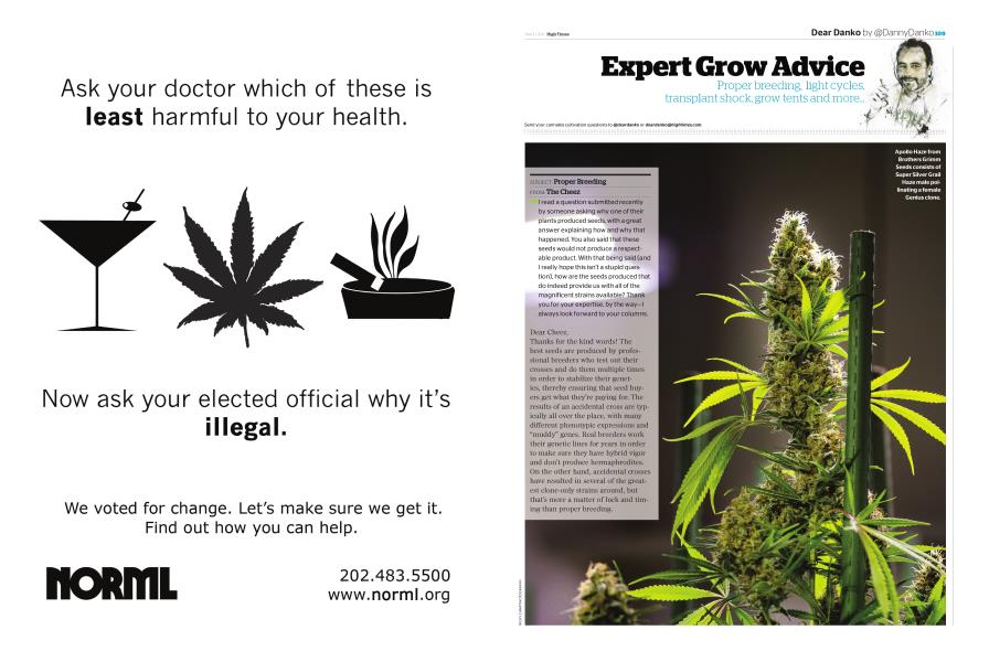 Expert Grow Advice