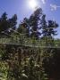 Page: - 108 | High Times