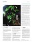 Page: - 110 | High Times
