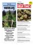 Page: - 140 | High Times