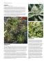 Page: - 72 | High Times