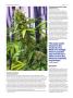 Page: - 74 | High Times