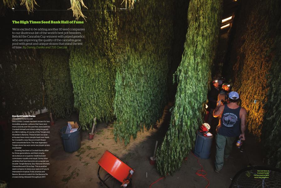 The High Times Seed Bank Hall of Fame