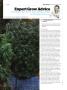 Page: - 109 | High Times
