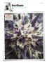 Page: - 136 | High Times