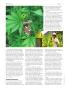Page: - 46 | High Times