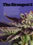 Page: - 68 | High Times