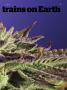 Page: - 69 | High Times