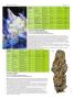 Page: - 70 | High Times