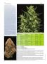 Page: - 72 | High Times