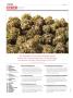 Page: - 8 | High Times