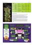 Page: - 80 | High Times