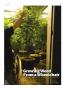 Page: - 83 | High Times