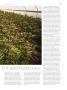 Page: - 93 | High Times
