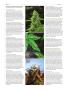 Page: - 98 | High Times