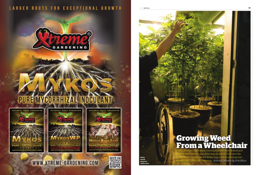 Growing Weed From a Wheelchair