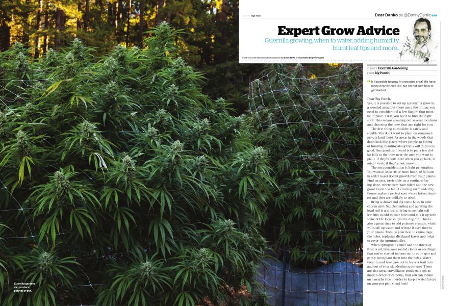 Expert Grow Advice