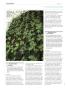 Page: - 110 | High Times
