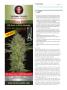 Page: - 114 | High Times