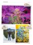 Page: - 138 | High Times