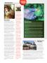 Page: - 26 | High Times