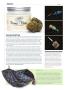 Page: - 30 | High Times