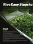 Page: - 44 | High Times