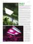 Page: - 46 | High Times
